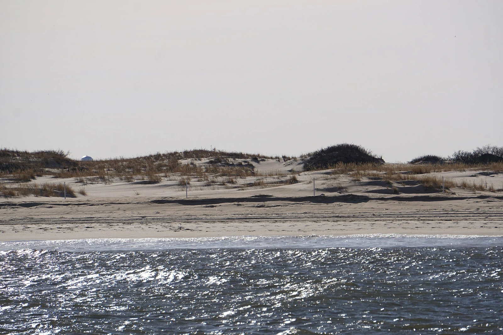 Delaware landscape