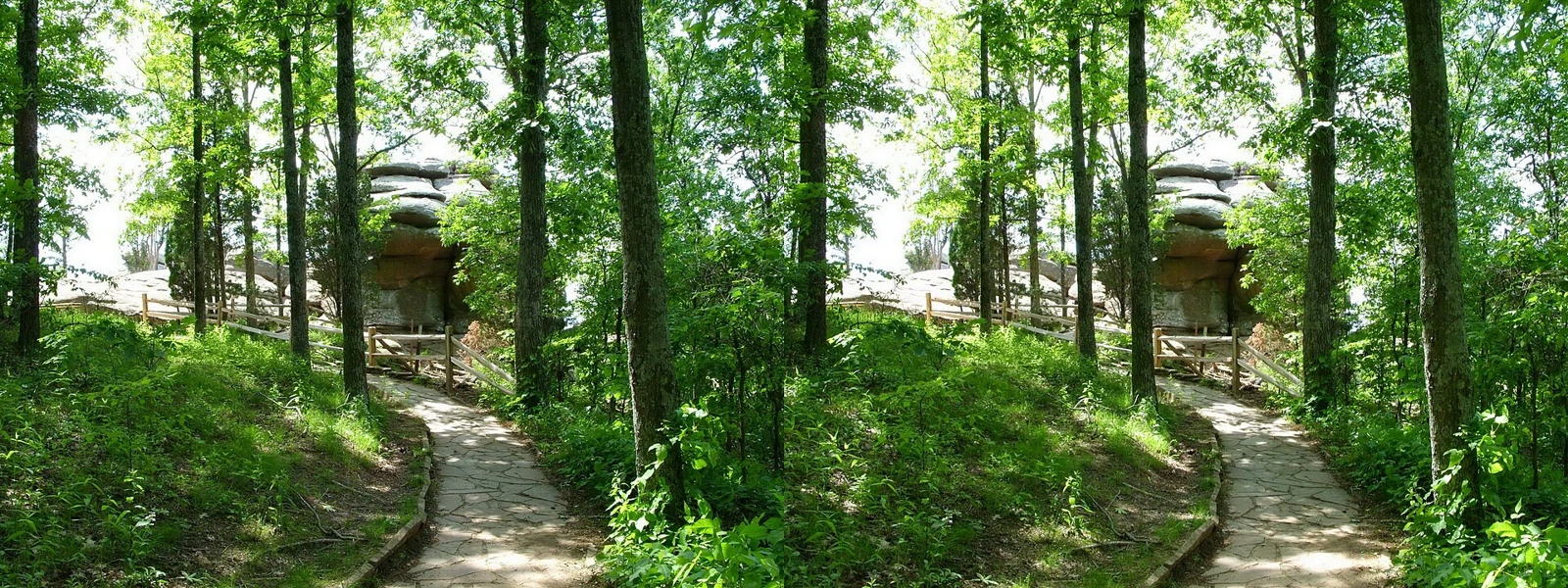 Illinois landscape
