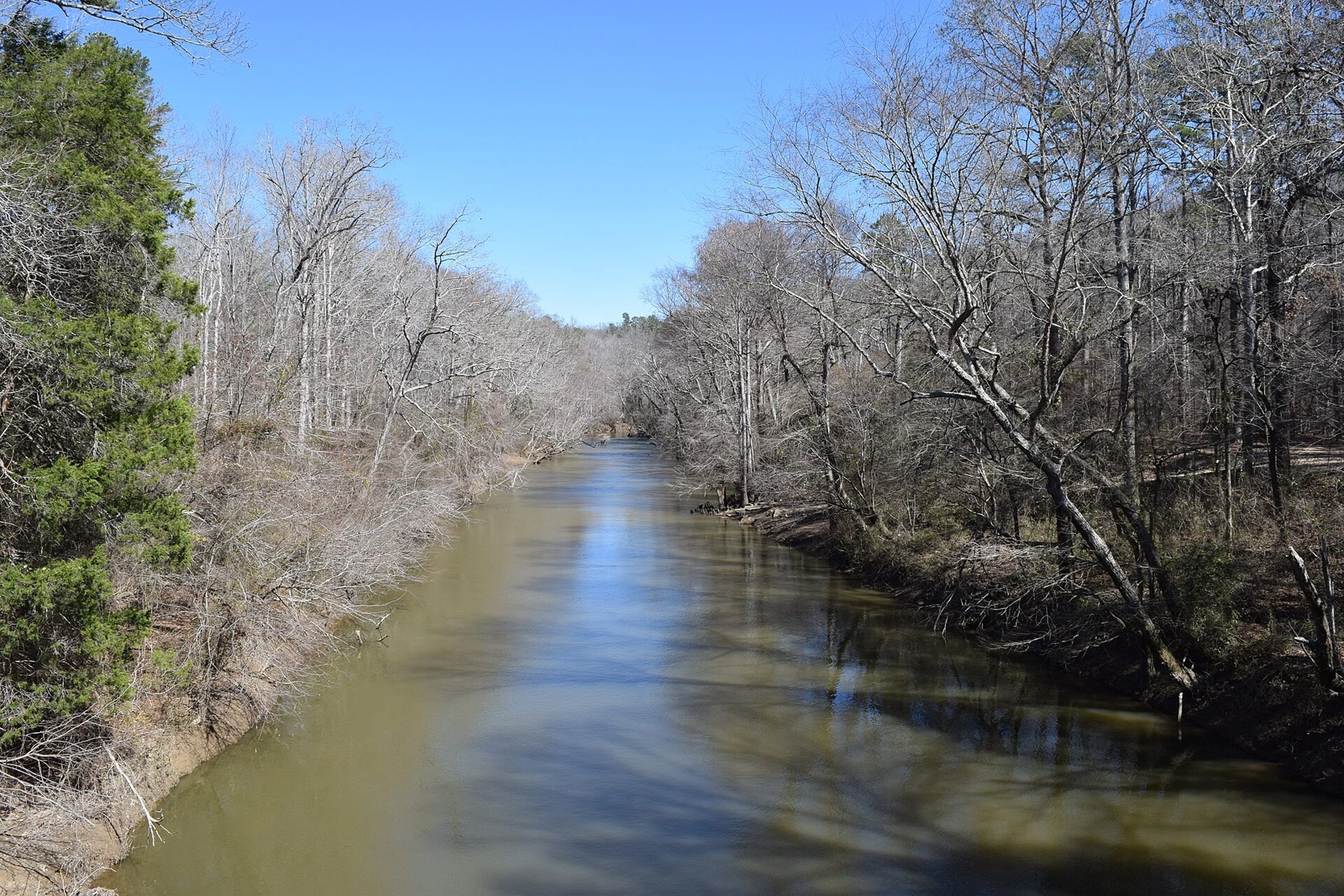 Mississippi landscape