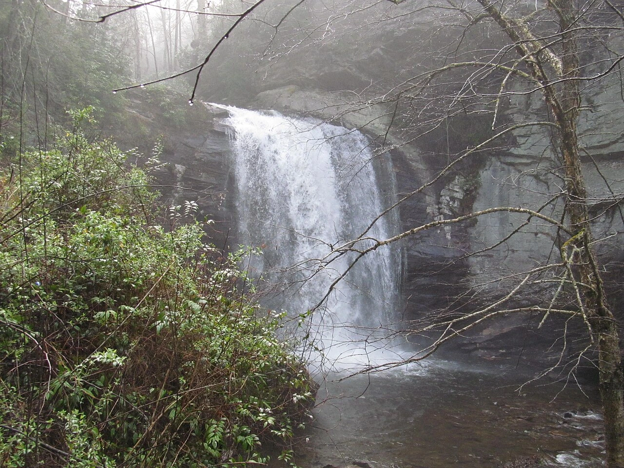 North Carolina landscape