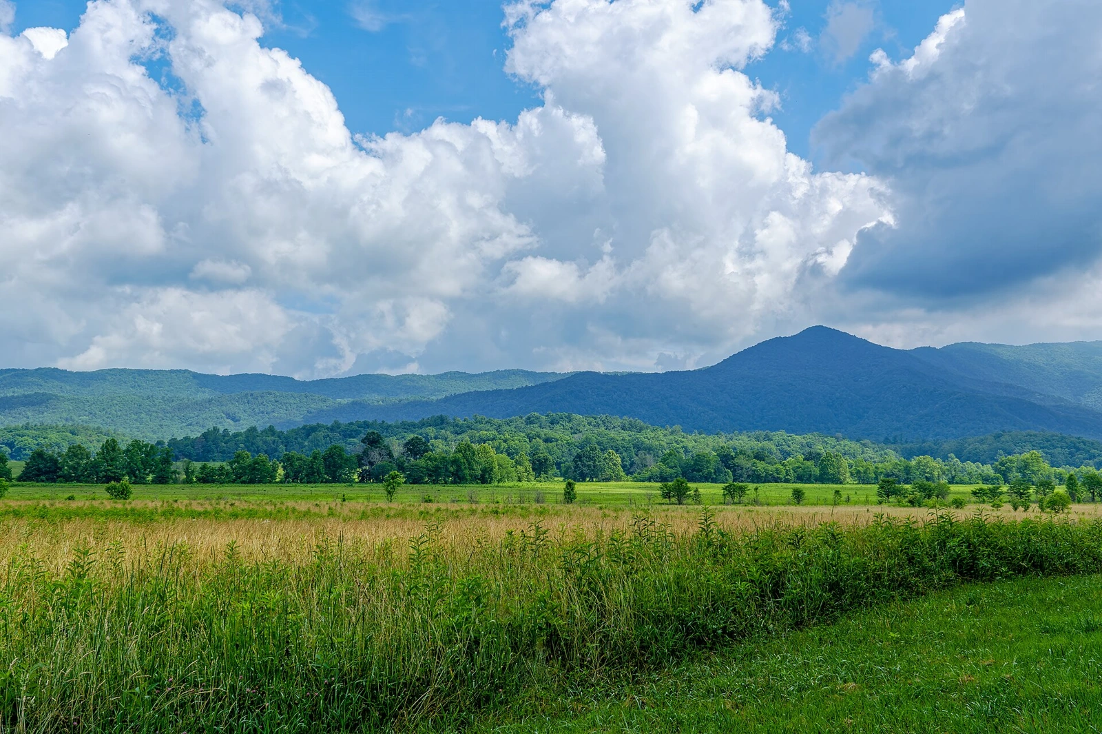 Tennessee landscape