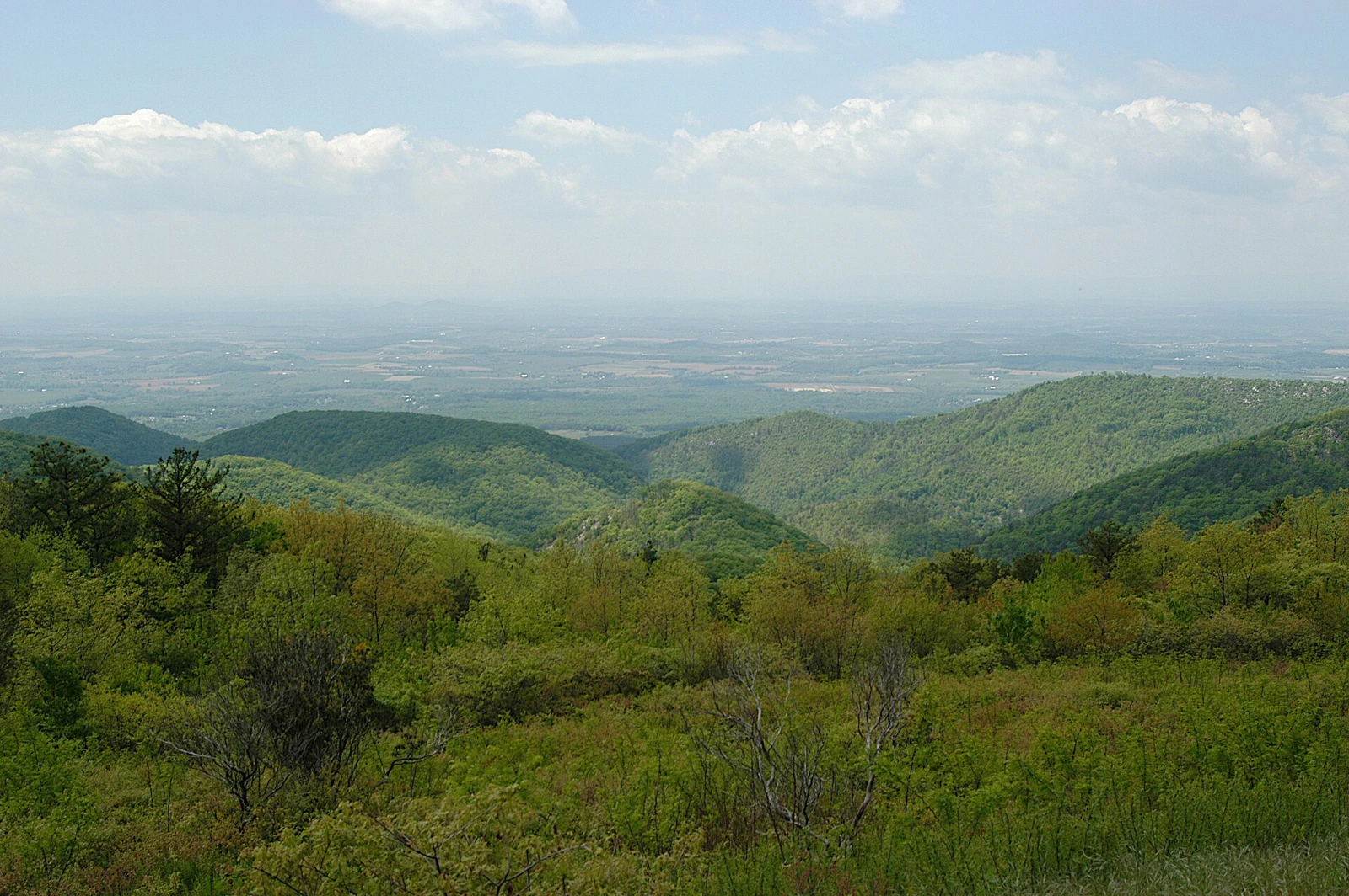 Virginia landscape
